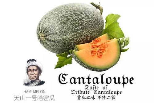 吃瓜视频群众推荐,群众推荐必看内容大盘点