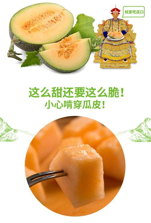 吃瓜视频群众推荐,群众推荐必看内容大盘点