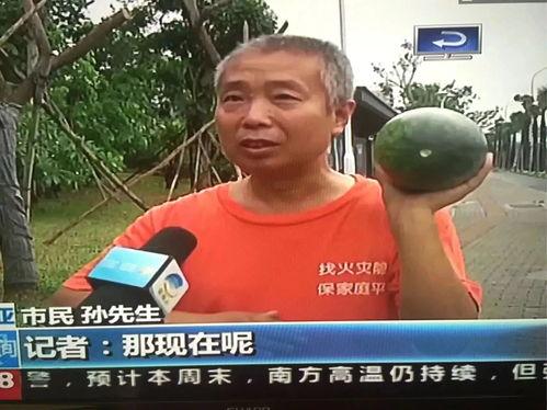 吃瓜群众找热点,最新热点事件盘点