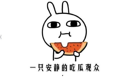 如何成为吃瓜群众,教你如何成为资深吃瓜群众