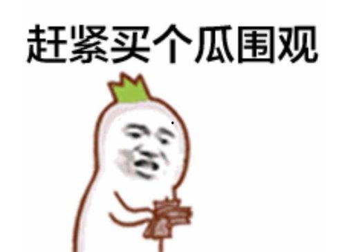 为吃瓜群众建言献策意思,为吃瓜群众量身打造的实用建议指南