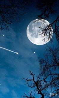 吃瓜群众月亮视频大全,揭秘吃瓜群众最爱观看的月亮视频大全