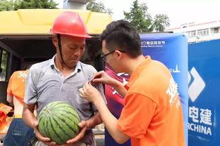 涪陵吃瓜群众新闻最新消息,最新消息揭秘幕后真相！