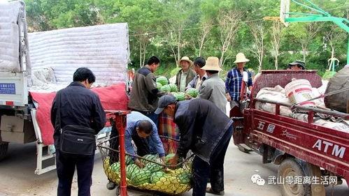 涪陵吃瓜群众新闻最新消息,最新消息揭秘幕后真相!