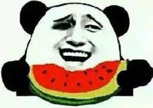 道具瓜娃子是吃瓜群众,揭秘吃瓜群众的趣味生活