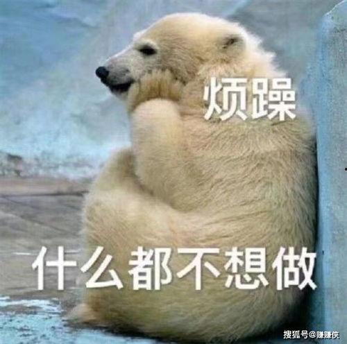 吃瓜群众下雨图片,趣味盎然瞬间捕捉