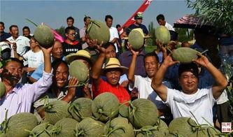 吃瓜群众多的人们叫什么,揭秘吃瓜群众背后的社会现象