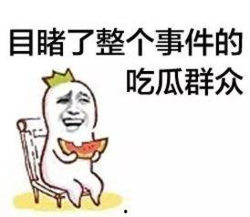 雅典娜吃瓜群众,吃瓜群众的智慧之光