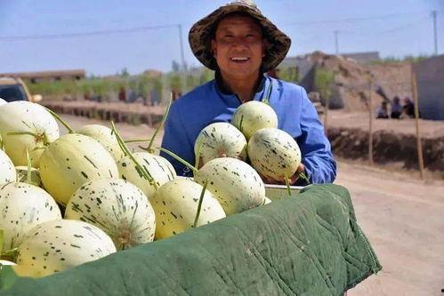 我要当吃瓜群众图片高清,高清图鉴揭秘网络围观现象