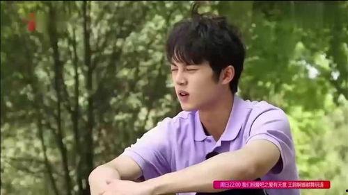 东北团队吃瓜群众是谁啊,他们是谁?为何引人关注?