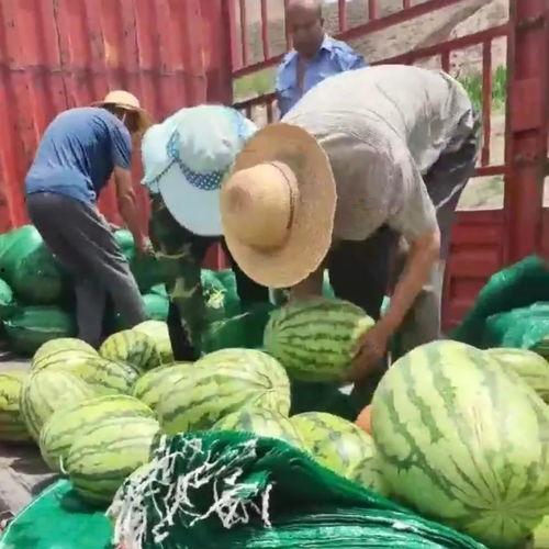 金凤区吃瓜群众事件,一场引发社会关注的网络热议