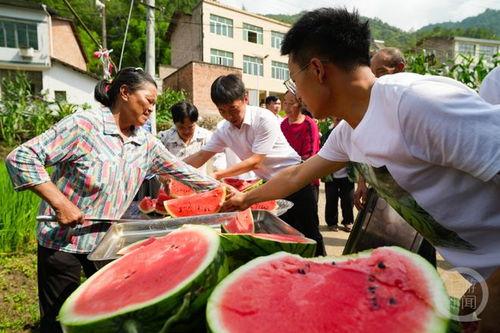 金凤区吃瓜群众事件,一场引发社会关注的网络热议