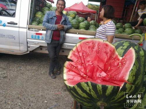 曲靖吃瓜群众图片视频,图片视频记录生活百态