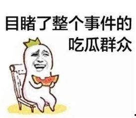 甜文无虐吃瓜群众文案,无虐观战记