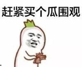 范天雷吃瓜群众太皮,围观群众太皮,笑料百出