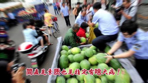 宁夏吃瓜群众,揭秘当地独特美食文化