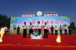 泗洪吃瓜群众事件视频播放,网络视频引发的热议与反思