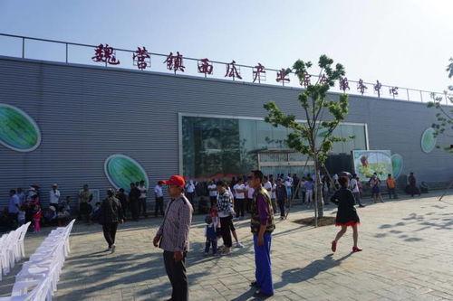 泗洪吃瓜群众事件视频播放,网络视频引发的热议与反思