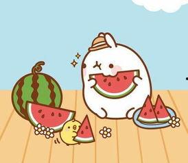 需要减肥了吃瓜群众,轻松瘦身,健康生活新起点