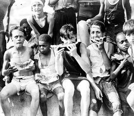 吃瓜群众片段,揭秘网络热议背后的真相与笑料