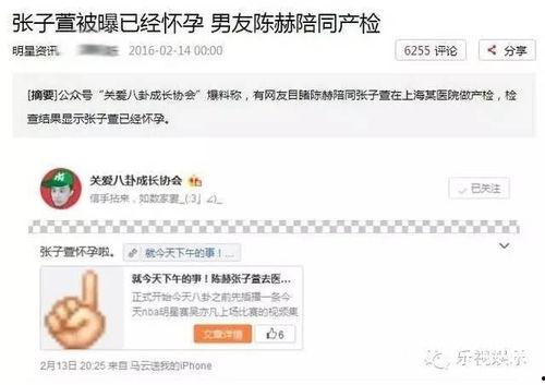 八卦群吃瓜群众怎么说,揭秘娱乐圈幕后真相