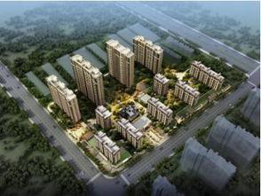 莱芜泰和嘉园吃瓜群众