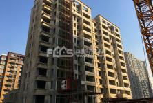 莱芜泰和嘉园吃瓜群众