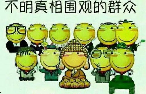 理智吃瓜群众的小说叫什么