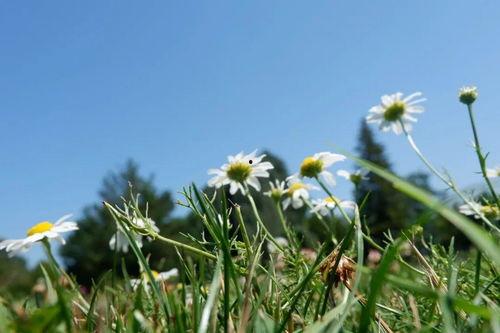 理智吃瓜群众的小说叫什么