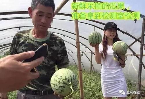 博主直播吃瓜群众,博主吃瓜群众，揭秘娱乐圈幕后风云