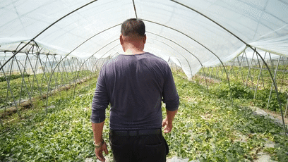 台湾岛吃瓜群众图片视频,捕捉热点瞬间，笑谈人间百态